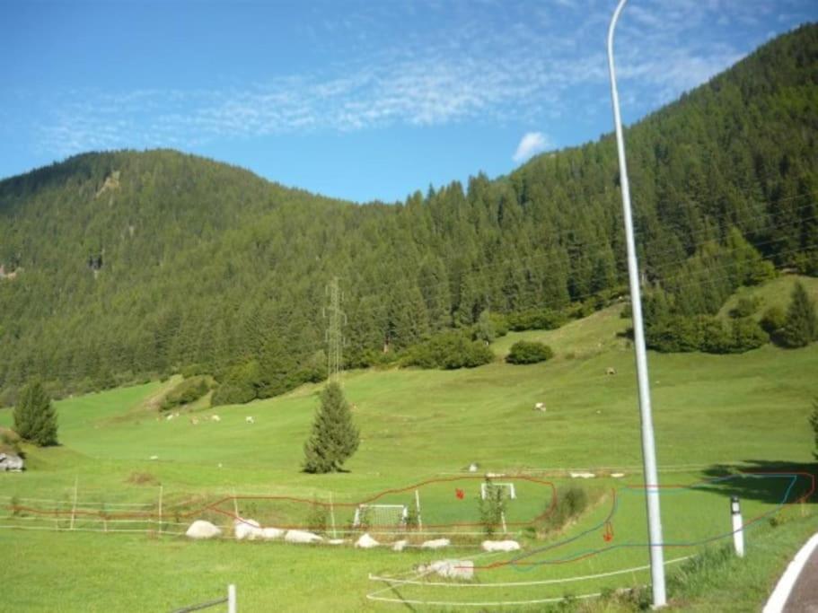 Vila Chalet Rustico Bertolini Per Gruppi! Vermiglio Exteriér fotografie