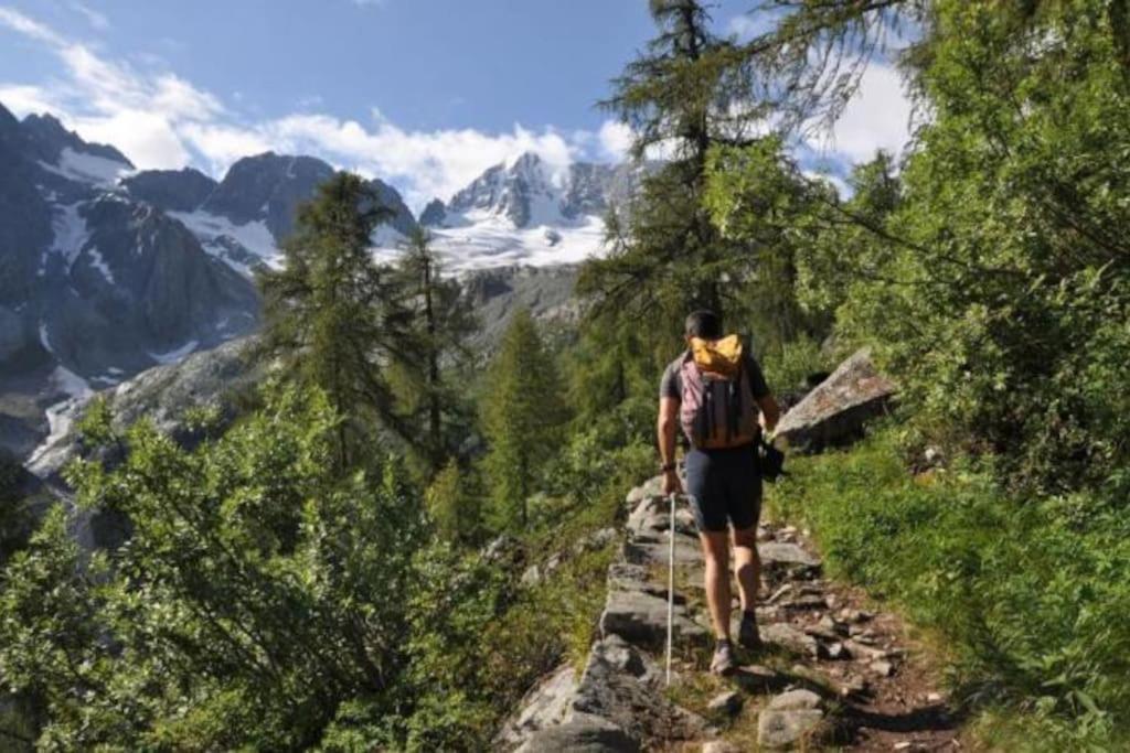 Vila Chalet Rustico Bertolini Per Gruppi! Vermiglio Exteriér fotografie