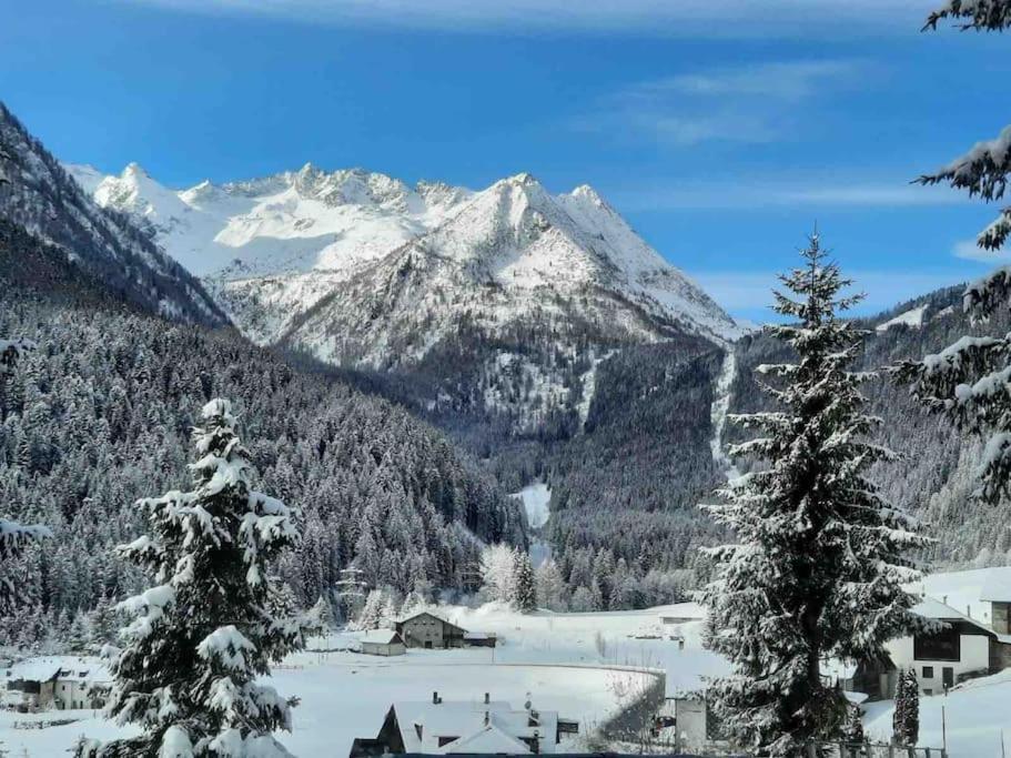 Vila Chalet Rustico Bertolini Per Gruppi! Vermiglio Exteriér fotografie