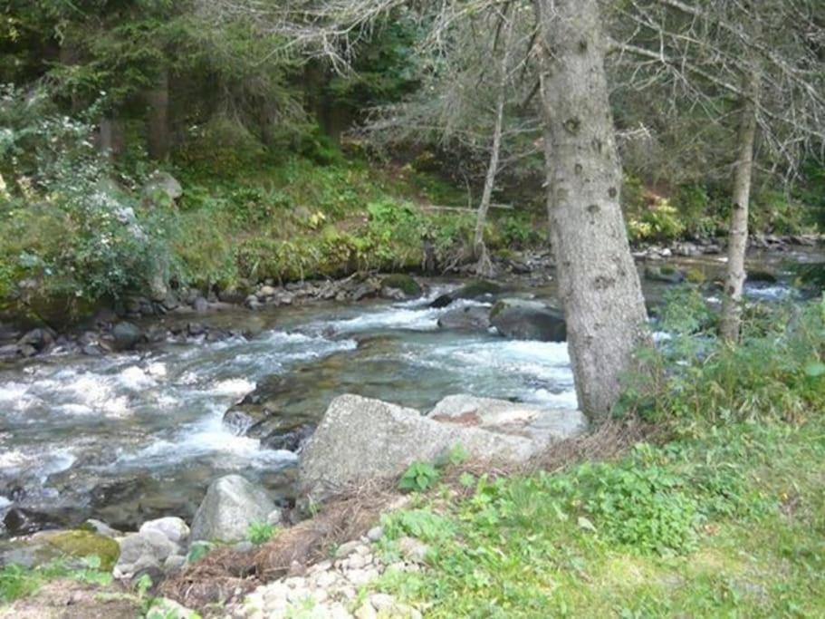 Vila Chalet Rustico Bertolini Per Gruppi! Vermiglio Exteriér fotografie