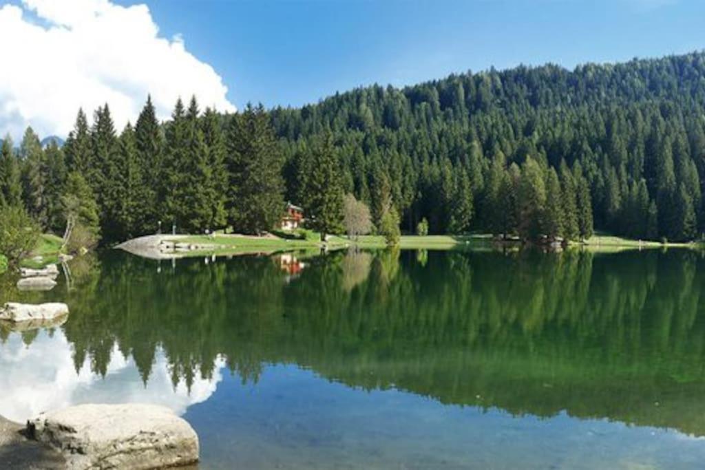 Vila Chalet Rustico Bertolini Per Gruppi! Vermiglio Exteriér fotografie