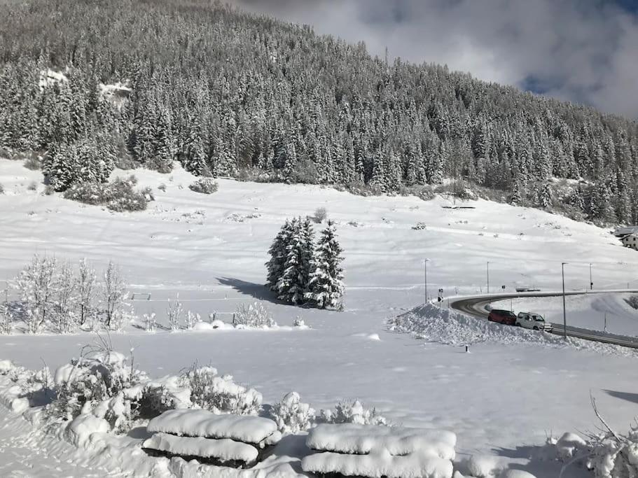 Vila Chalet Rustico Bertolini Per Gruppi! Vermiglio Exteriér fotografie